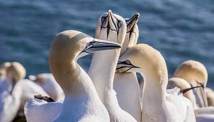 午夜Beta补丁12.0.1职业与法术调整说明